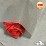 PMLAND Premium Quality Gift Tissue Wrapping Paper - Gray - 15 Inches X 20 Inches 100 Sheets