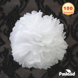 PMLAND Premium Quality Gift Tissue Wrapping Paper - White - 15 Inches X 20 Inches 100 Sheets